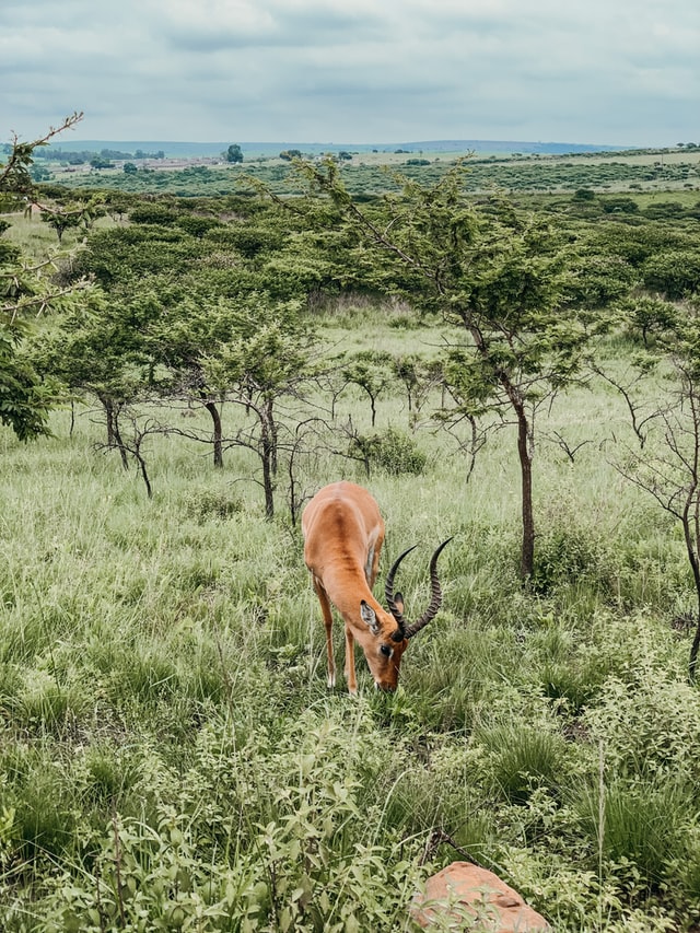 Comment aménager une réserve naturelle privée ?