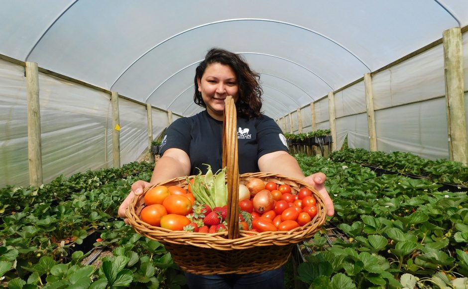 Rendement agricole : nos conseils pour l'améliorer