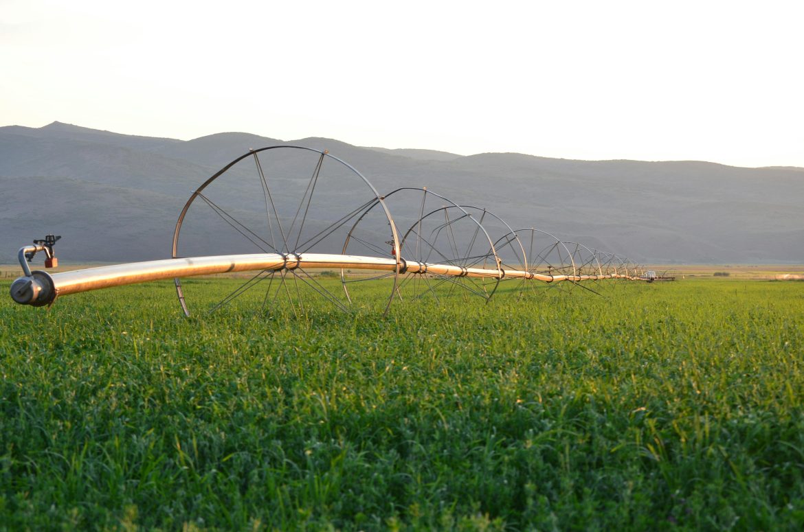 Les avantages des capteurs d’humidité du sol dans l’irrigation intelligente