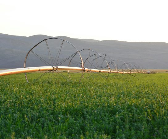 Les avantages des capteurs d’humidité du sol dans l’irrigation intelligente