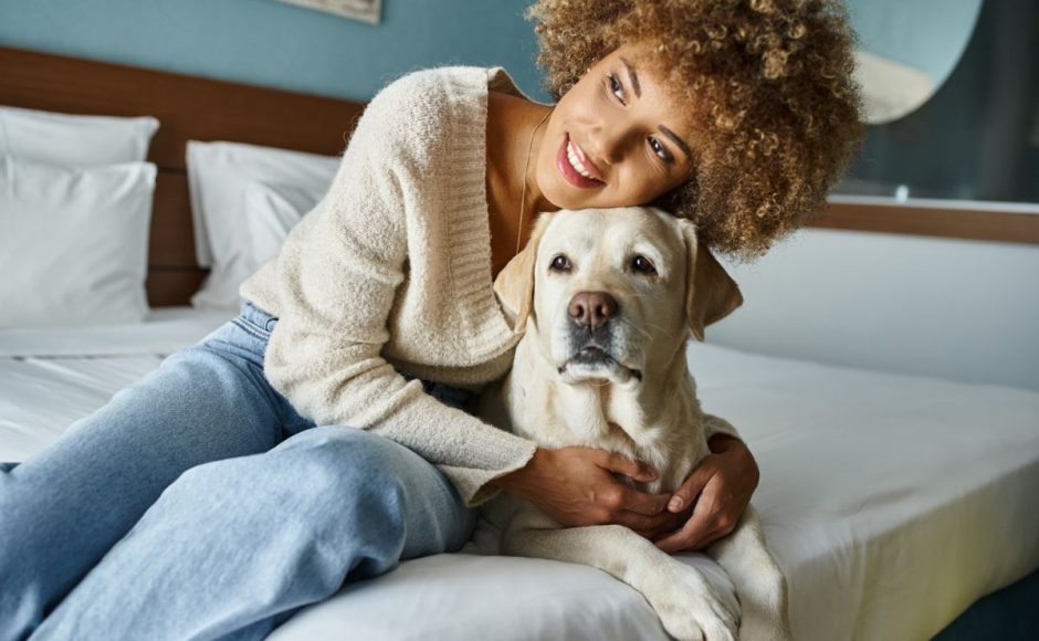 8-Conseils pour trouver un logement qui accepte les grands animaux de compagnie