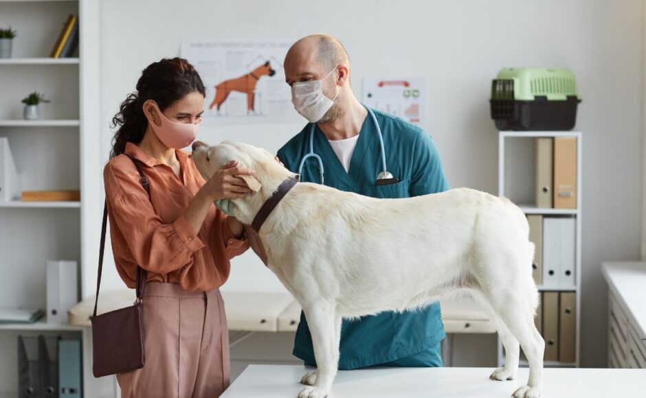 10-Le rôle des vétérinaires dans la protection des droits des animaux