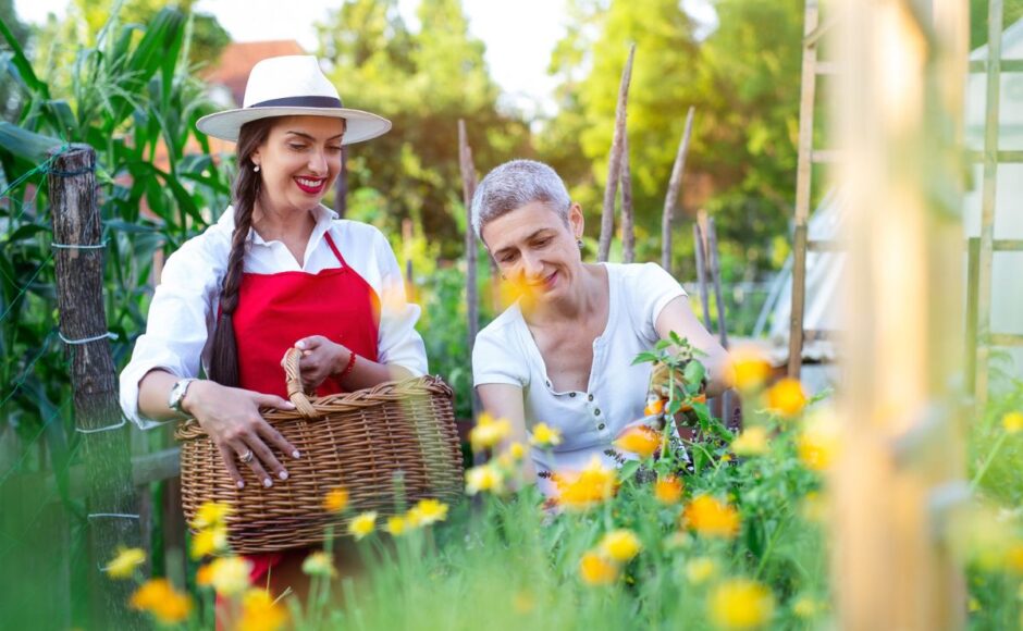 11-Les bienfaits des jardins thérapeutiques pour la santé