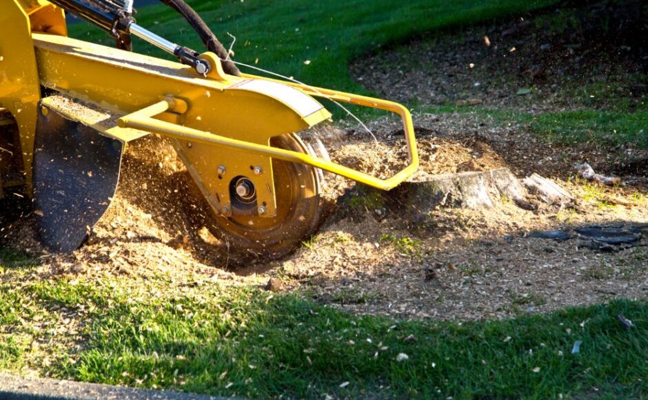 Dessouchage : débutez vos projets de construction sur de bonnes bases