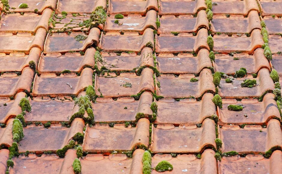 découvrez nos services de toiture de qualité supérieure, incluant l'installation, la réparation et l'entretien de toitures. faites confiance à notre équipe d'experts pour protéger votre maison avec des matériaux durables et un savoir-faire inégalé.