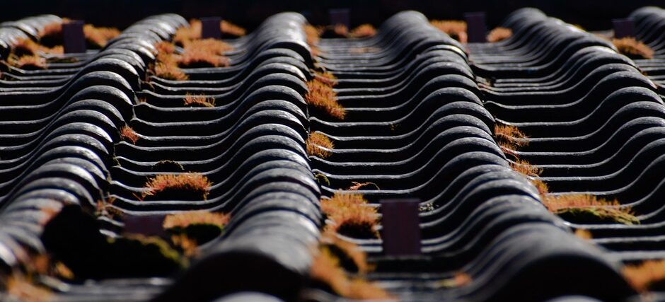 découvrez nos solutions d'isolation de toiture, conçues pour améliorer l'efficacité énergétique de votre maison. protégez votre habitat des variations climatiques tout en réduisant vos factures d'énergie grâce à nos matériaux de haute qualité.