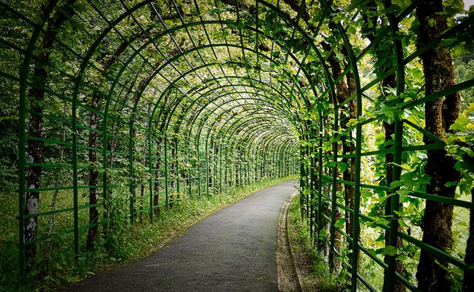 découvrez notre pergola bioclimatique, une solution innovante qui allie confort et esthétisme. profitez d'un espace extérieur modulable, adapté à toutes les saisons, grâce à ses lames orientables qui régulent la lumière et la chaleur. transformez votre jardin en un havre de paix et de détente avec notre pergola design et fonctionnelle.