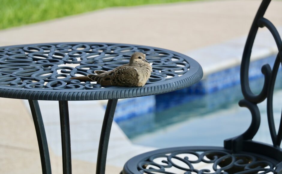 découvrez notre sélection de meubles d'extérieur alliant confort et style pour transformer votre jardin ou votre terrasse en un espace de détente et de convivialité. profitez de la chaleur estivale avec des designs modernes et durables.