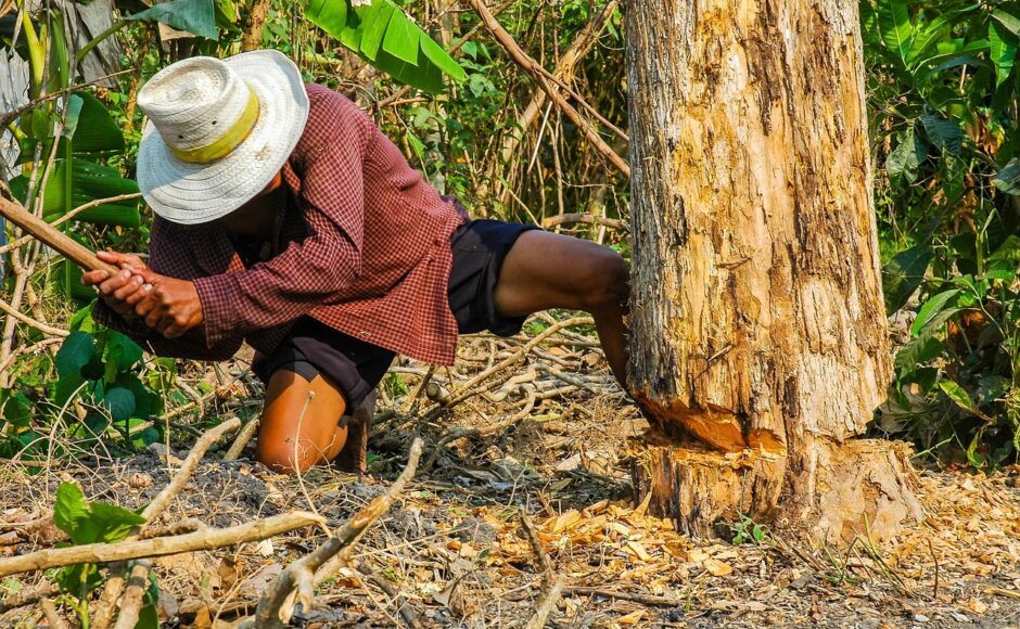 découvrez notre service d'abattage d'arbres, offrant des solutions professionnelles et sécurisées pour l'élimination des arbres indésirables. nous garantissons un travail soigné, respectueux de l'environnement et adapté à vos besoins. contactez-nous pour un devis gratuit.