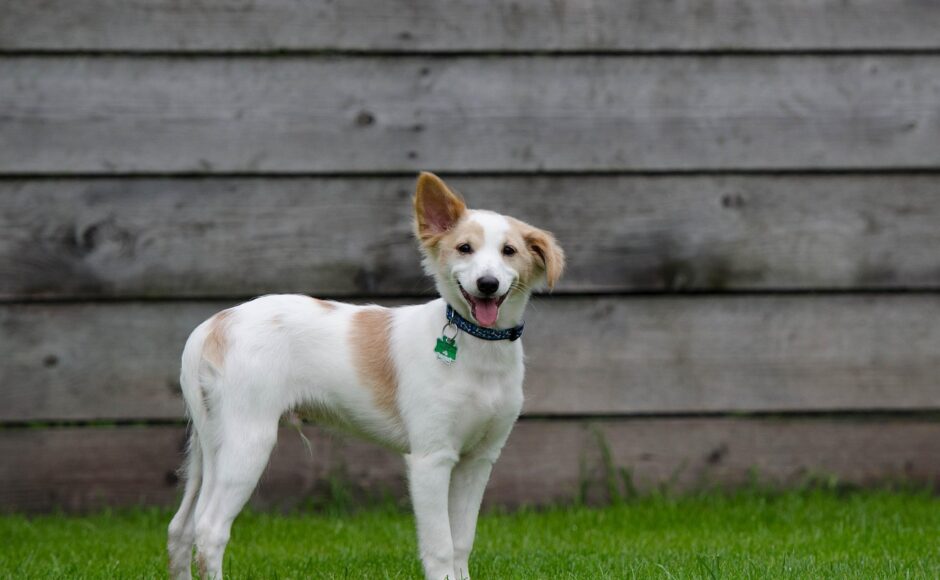 découvrez tout ce qu'il faut savoir sur le boarding, les étapes de l'embarquement aérien et les conseils pratiques pour voyager sereinement. optimisez votre expérience en aéroport grâce à nos astuces.