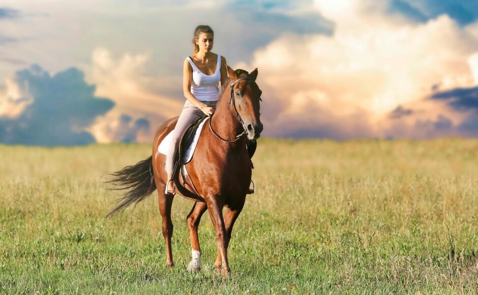 découvrez les plaisirs de l’équitation : conseils, astuces et informations pour débuter ou perfectionner votre pratique du cheval. explorez les bienfaits et les techniques de l’équitation.
