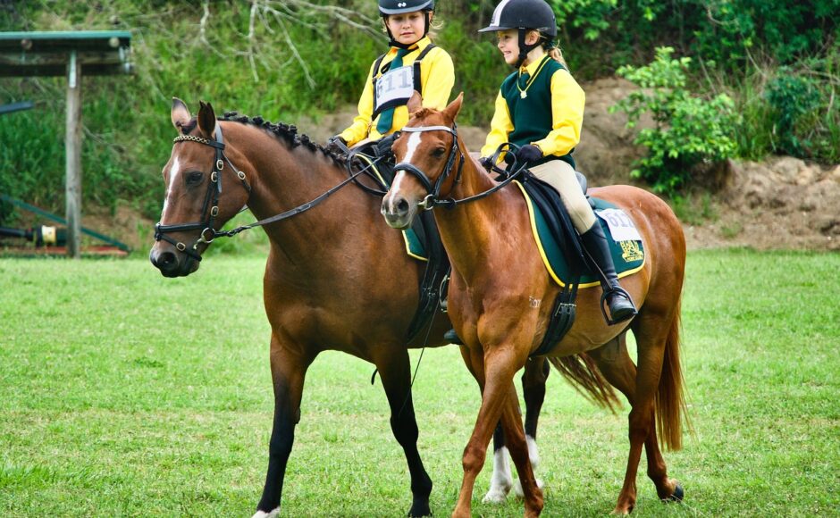 découvrez l’équitation et profitez de toutes les informations pour débuter ou perfectionner votre pratique du cheval : conseils, disciplines, équipement et bienfaits du horseback riding.