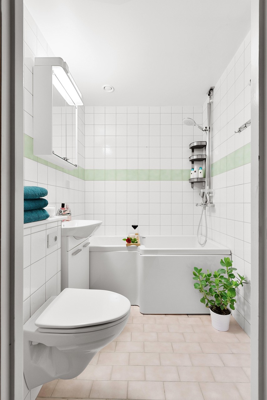 Salle de bains moderne : conseils pratiques pour un design épuré et raffiné