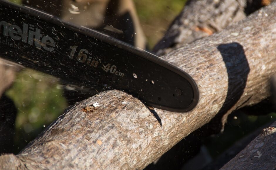 découvrez les meilleures techniques de pruning pour favoriser la croissance de vos plantes, améliorer la santé de votre jardin et obtenir des récoltes abondantes. conseils pratiques et astuces pour un élagage efficace.