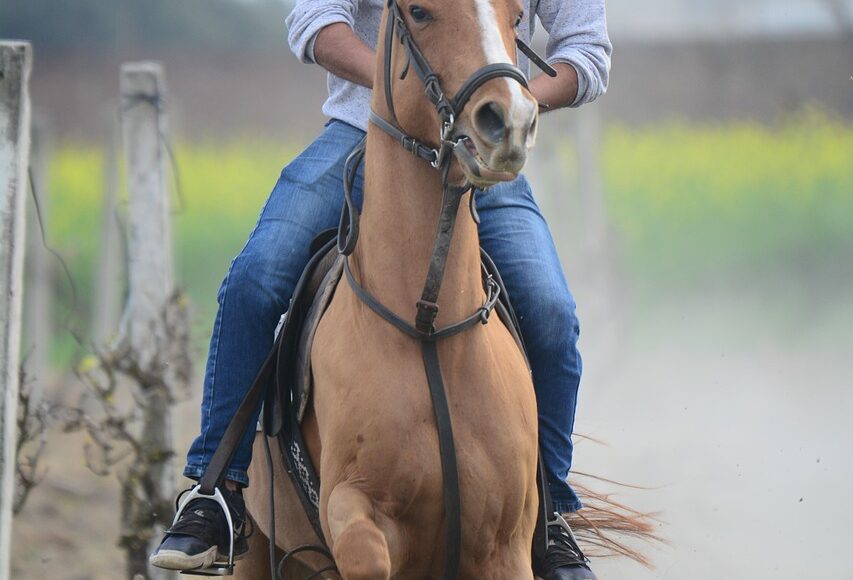 découvrez une expérience unique d’équitation en famille : balade à cheval pour petits et grands, moments conviviaux et souvenirs inoubliables au cœur de la nature.