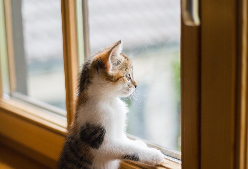 découvrez tout sur windows : actualités, tutoriels, astuces et guides pour optimiser l’utilisation de votre système d’exploitation windows. restez informé des dernières nouveautés et améliorez votre expérience informatique.