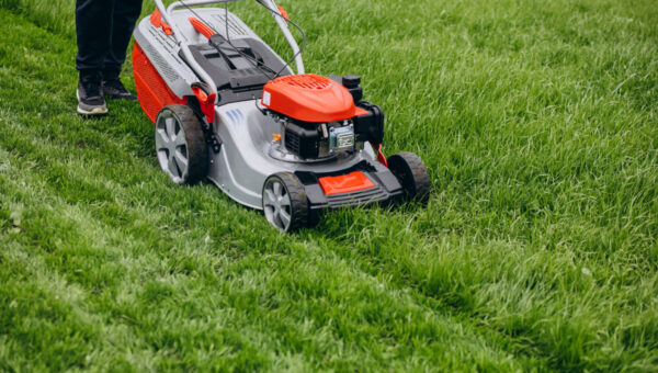 Matériel de jardinage : le rush de la location au printemps