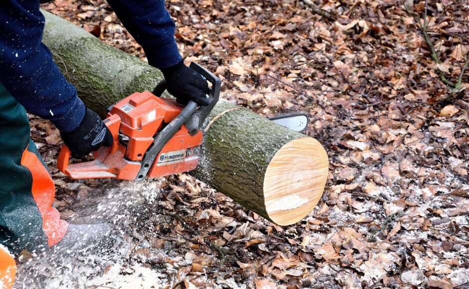 découvrez notre sélection de tronçonneuses performantes et robustes, idéales pour tous vos travaux de coupe de bois et d'élagage.
