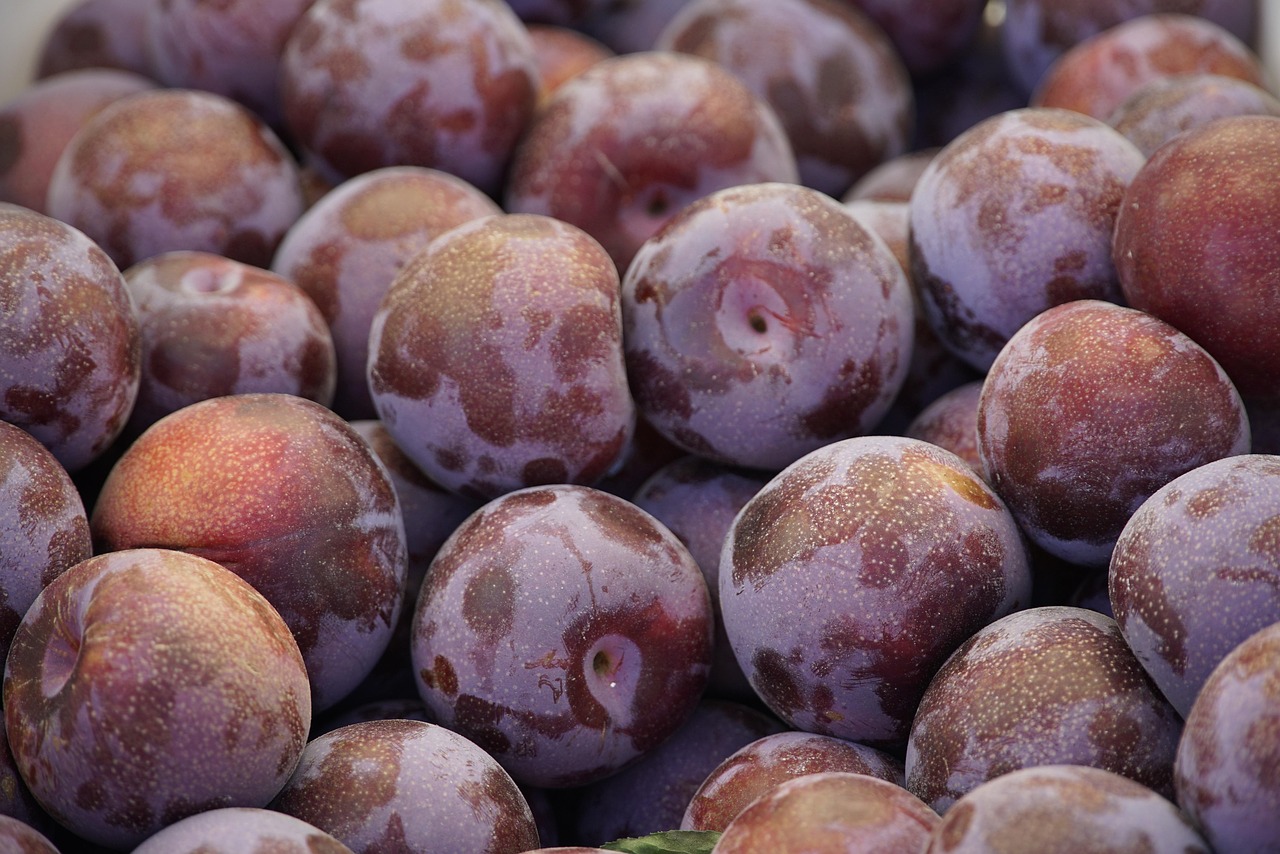 distributeur de produits frais : fruits et légumes de qualité livrés directement aux commerces et restaurateurs.