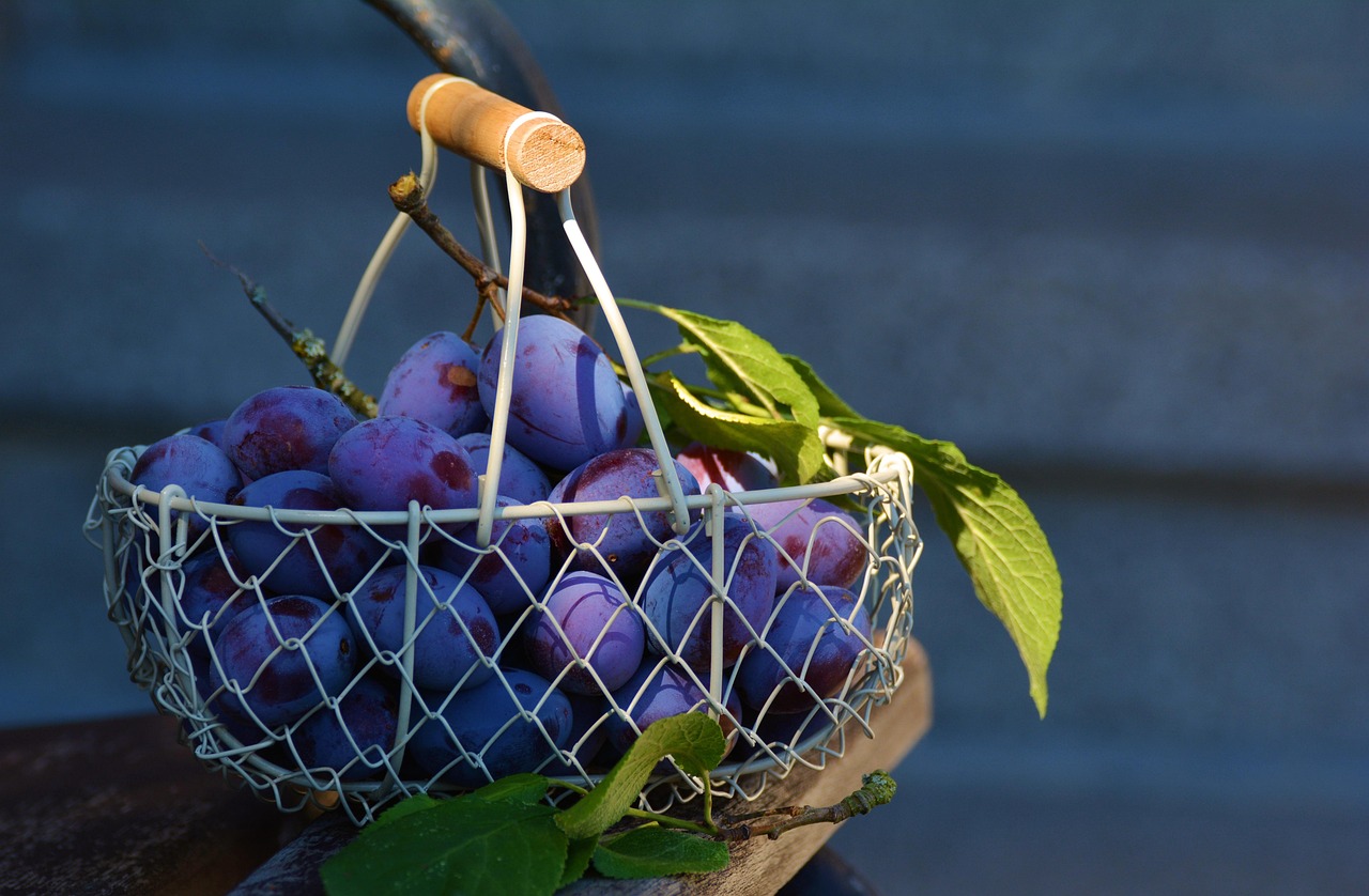 distributeur de produits frais, nous fournissons des fruits et légumes de qualité aux professionnels et aux commerces de proximité.
