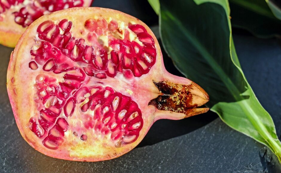 distributeur de produits frais, fournissant fruits et légumes de qualité aux professionnels et particuliers.