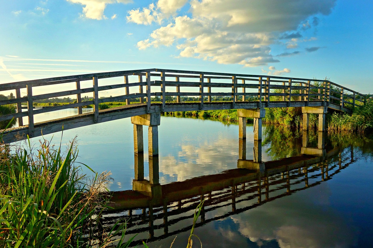 découvrez les techniques et étapes essentielles pour la construction de ponts en bois alliant durabilité et esthétique naturelle.