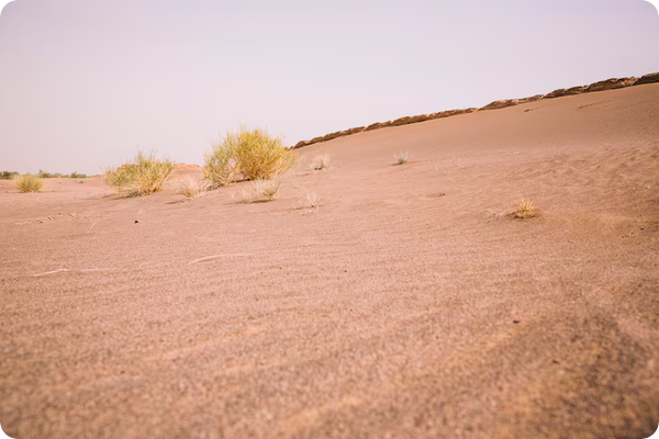 Nature du sol sableux_stabilité après enrochement