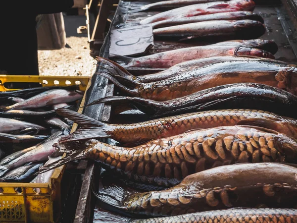 découvrez les questions essentielles à poser à votre poissonnier pour choisir un poisson frais, de saison et issu d’une pêche responsable.